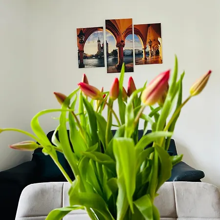 Selected By Market Square *